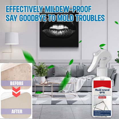 All-purpose Mildew Removal Spray（Buy 2 Get 1 Free）